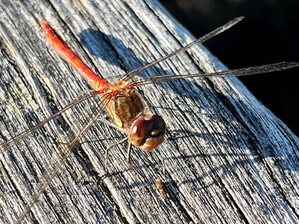 23-09-24 17-00-14 7403